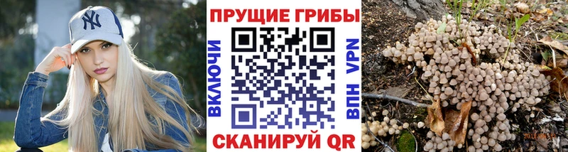 наркота  Сочи  блэк спрут маркетплейс  Галлюциногенные грибы GOLDEN TEACHER 